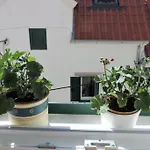 Romantic In Center * Сплит
